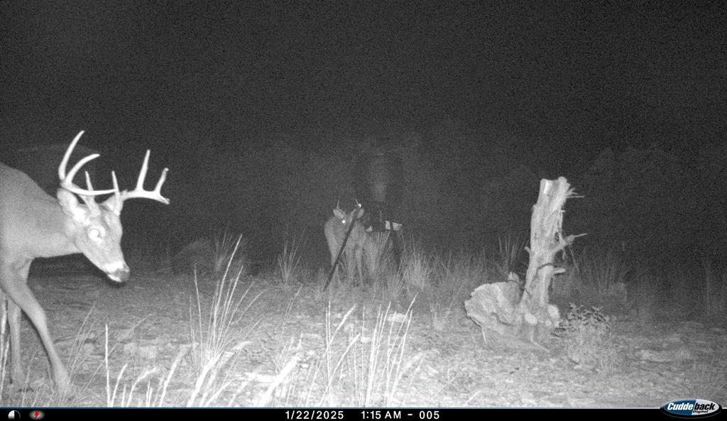 2523 Southwest St Rocksprings Tx 78880 Del Rio, TX 78840 - Photo 68 of 80