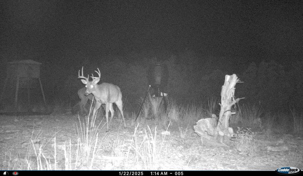 2523 Southwest St Rocksprings Tx 78880 Del Rio, TX 78840 - Photo 69 of 80 a view of dining room with furniture and wooden floor