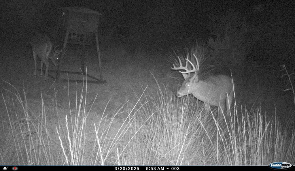 2523 Southwest St Rocksprings Tx 78880 Del Rio, TX 78840 - Photo 70 of 80