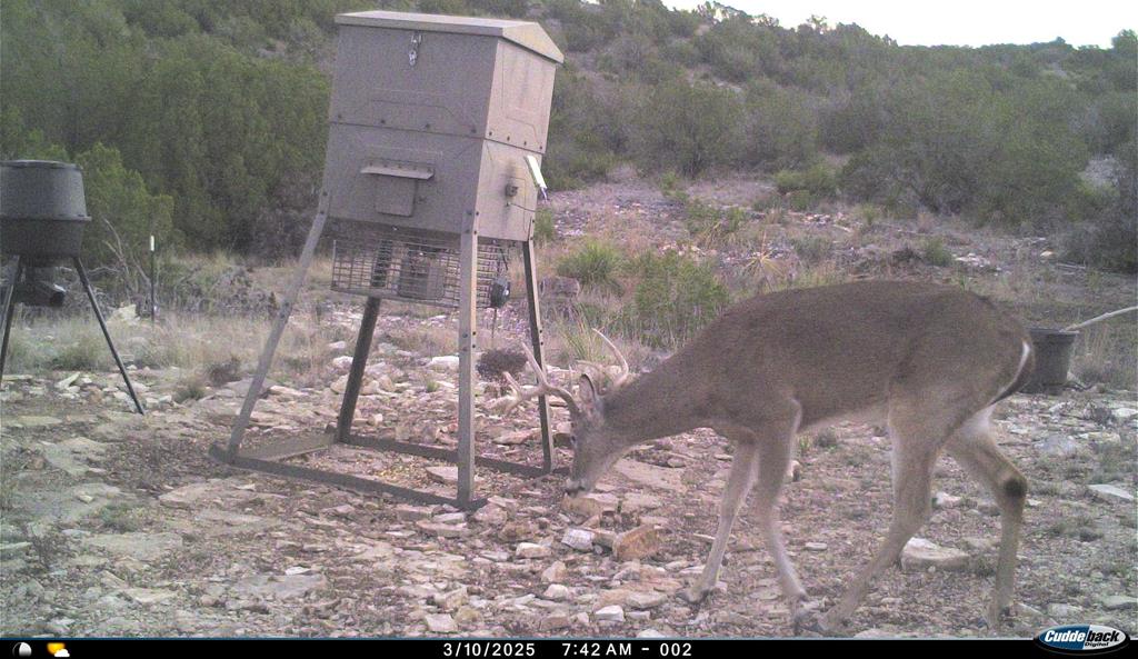 2523 Southwest St Rocksprings Tx 78880 Del Rio, TX 78840 - Photo 71 of 80 a backyard of a house