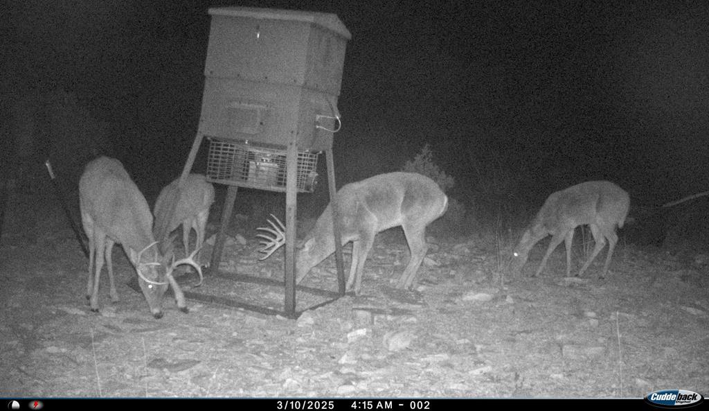 2523 Southwest St Rocksprings Tx 78880 Del Rio, TX 78840 - Photo 74 of 80