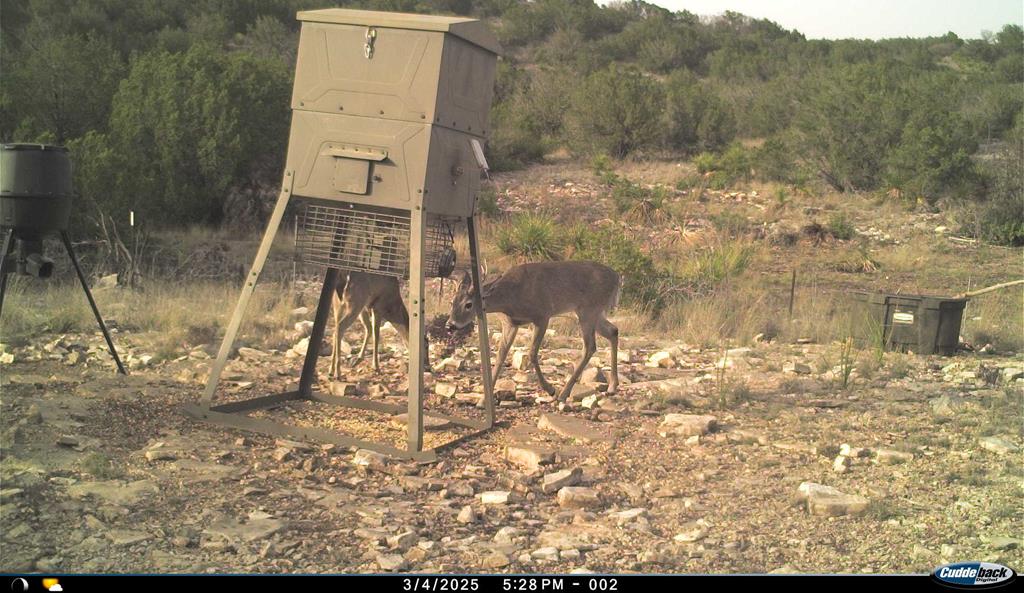 2523 Southwest St Rocksprings Tx 78880 Del Rio, TX 78840 - Photo 77 of 80