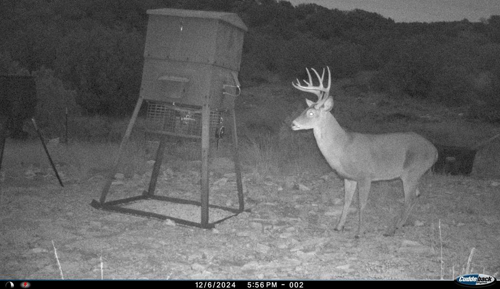 2523 Southwest St Rocksprings Tx 78880 Del Rio, TX 78840 - Photo 80 of 80