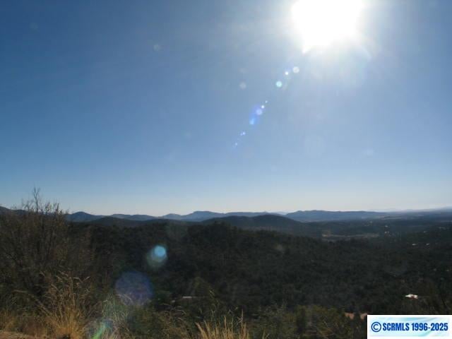 9 Radio Tower Road Silver City, NM 88053 - Photo 1 of 30 Gallery Image 1