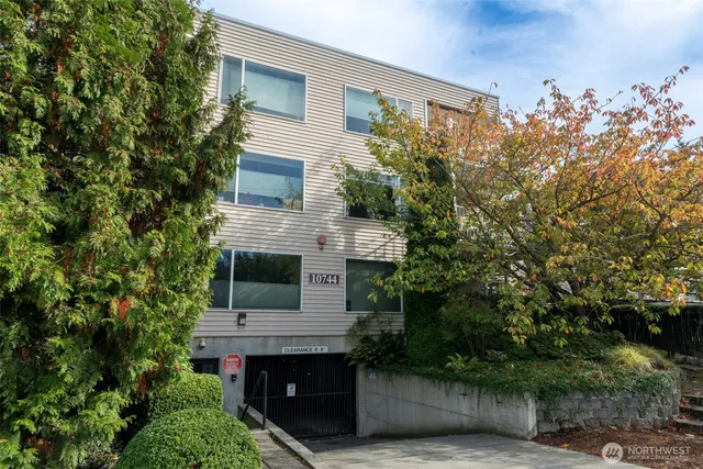 front view of a house with a tree
