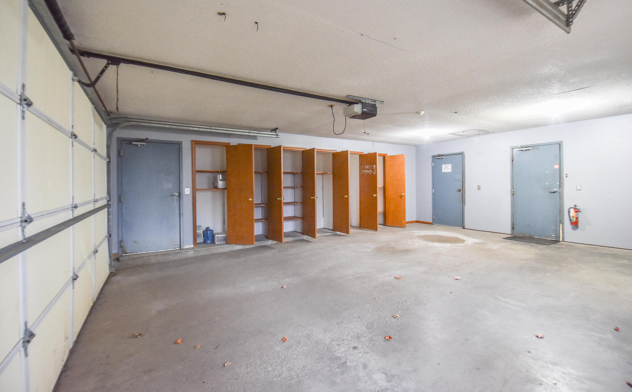 804 Cornell Road Quincy, MI 49082 - Photo 37 of 41 DSC_0019