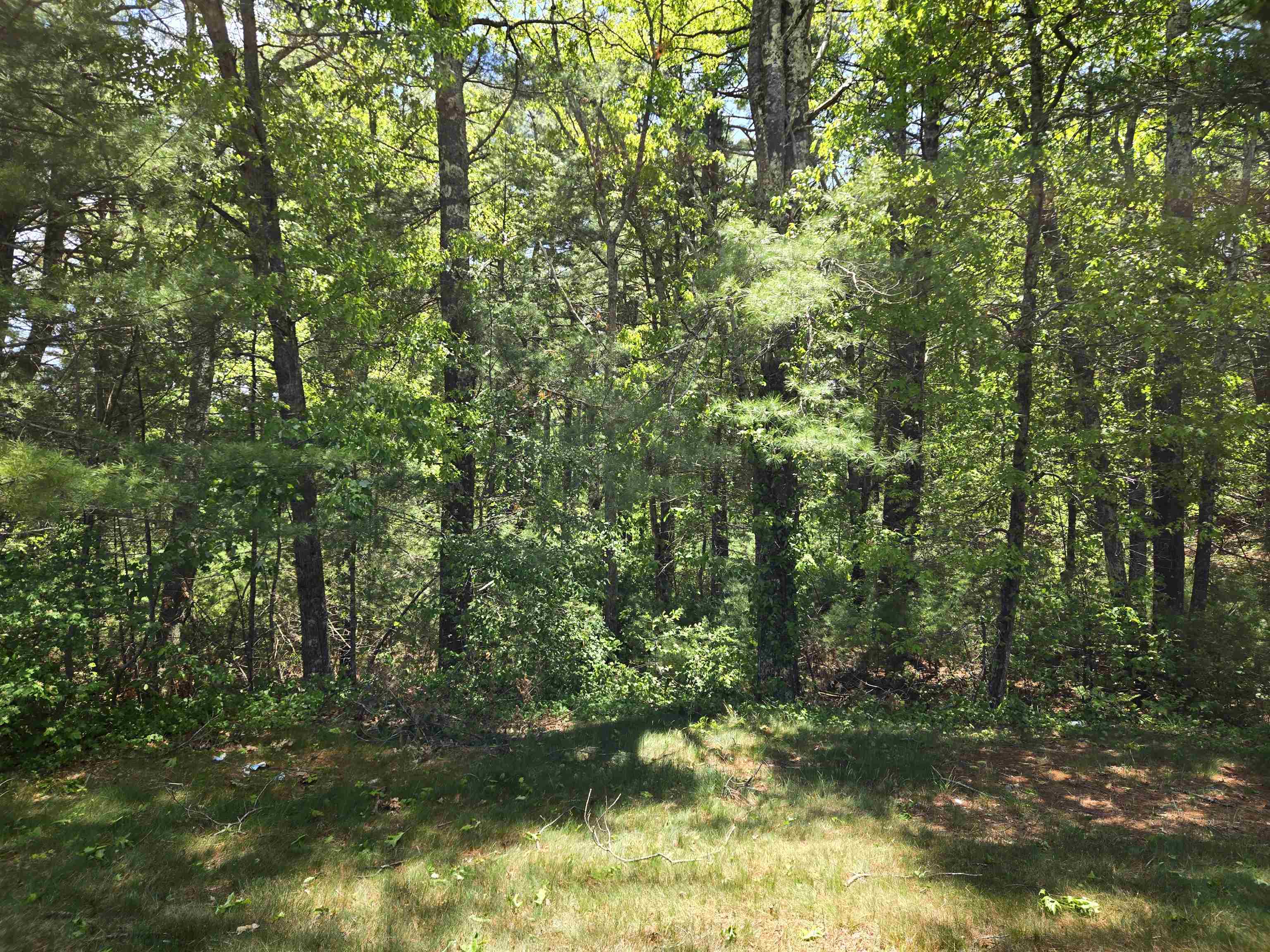 10 Issax Fox Road, Unit D10 SECTION 10 Campton, NH 03223 - Photo 2 of 6