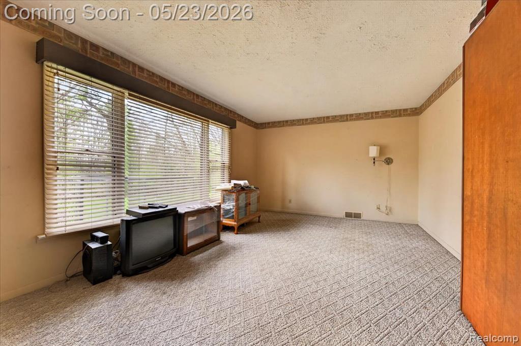 4049 Slattery Road North Branch, MI 48461 - Photo 9 of 45