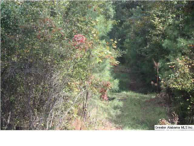 772 County Road, Unit 2 Montevallo, AL 35115 - Photo 1 of 1