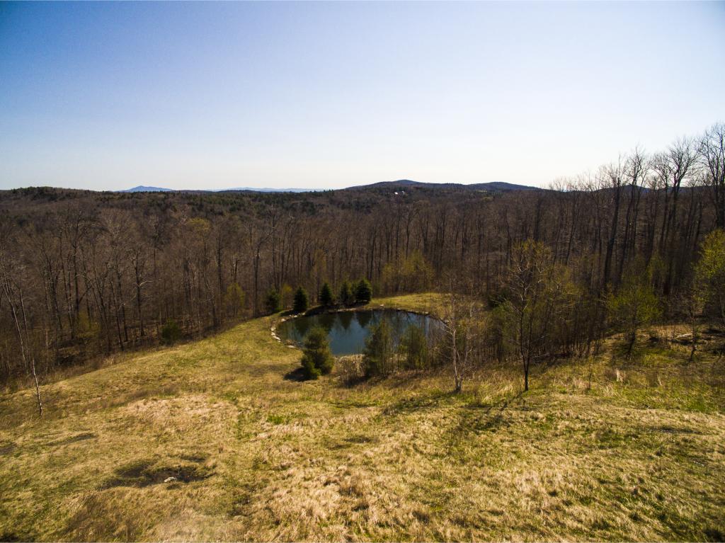694 Windham Springs Road Windham, VT 05359 - Photo 23 of 32