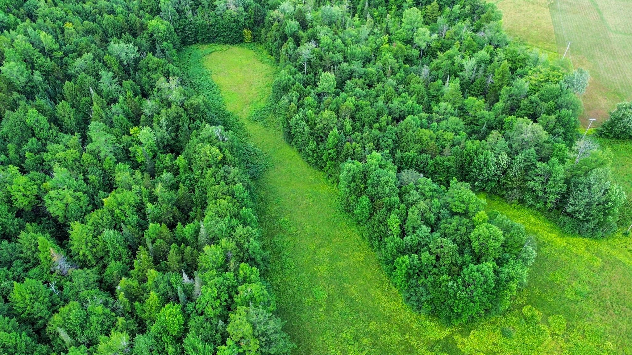 0 Fuller Road Newbury, VT 05051 - Photo 12 of 29