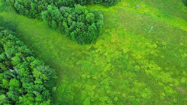 $189,000 | 0 Fuller Road, Newbury, VT 05051