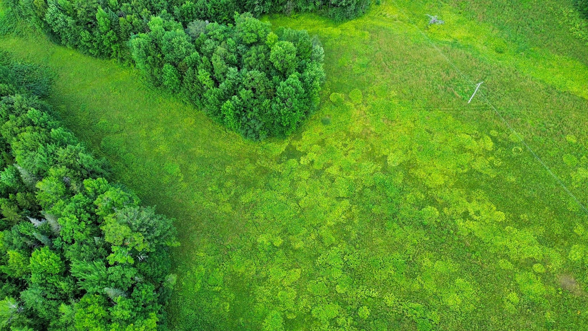 0 Fuller Road Newbury, VT 05051 - Photo 14 of 29