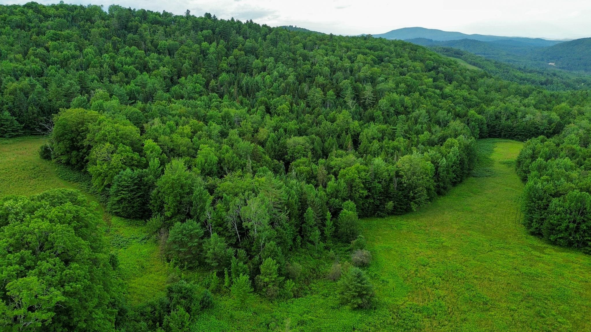 0 Fuller Road Newbury, VT 05051 - Photo 23 of 29