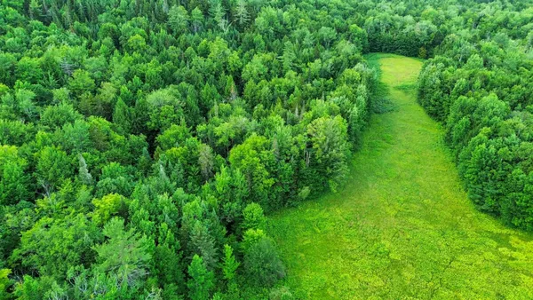 $189,000 | 0 Fuller Road, Newbury, VT 05051