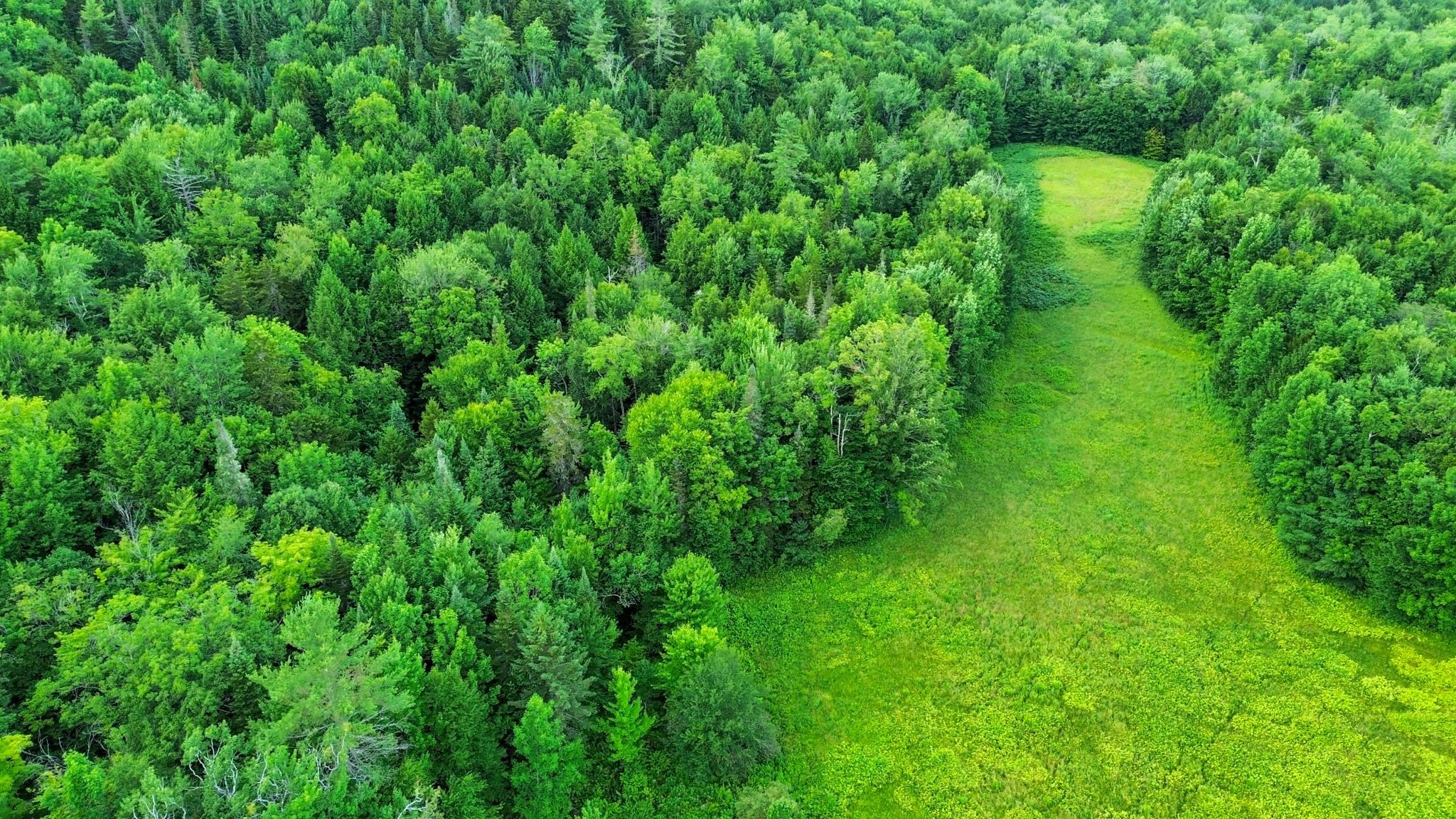 0 Fuller Road Newbury, VT 05051 - Photo 8 of 29