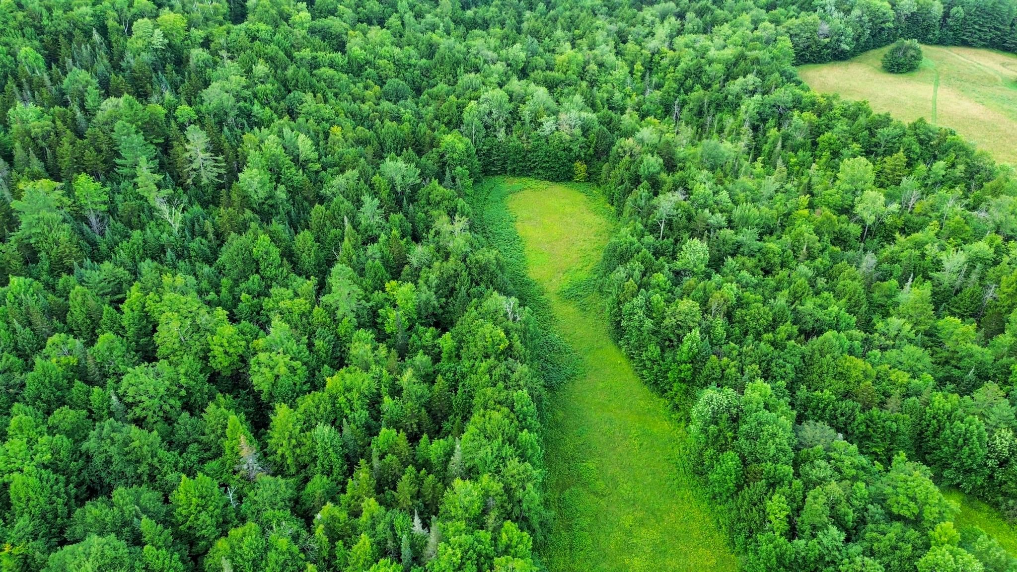 0 Fuller Road Newbury, VT 05051 - Photo 10 of 29