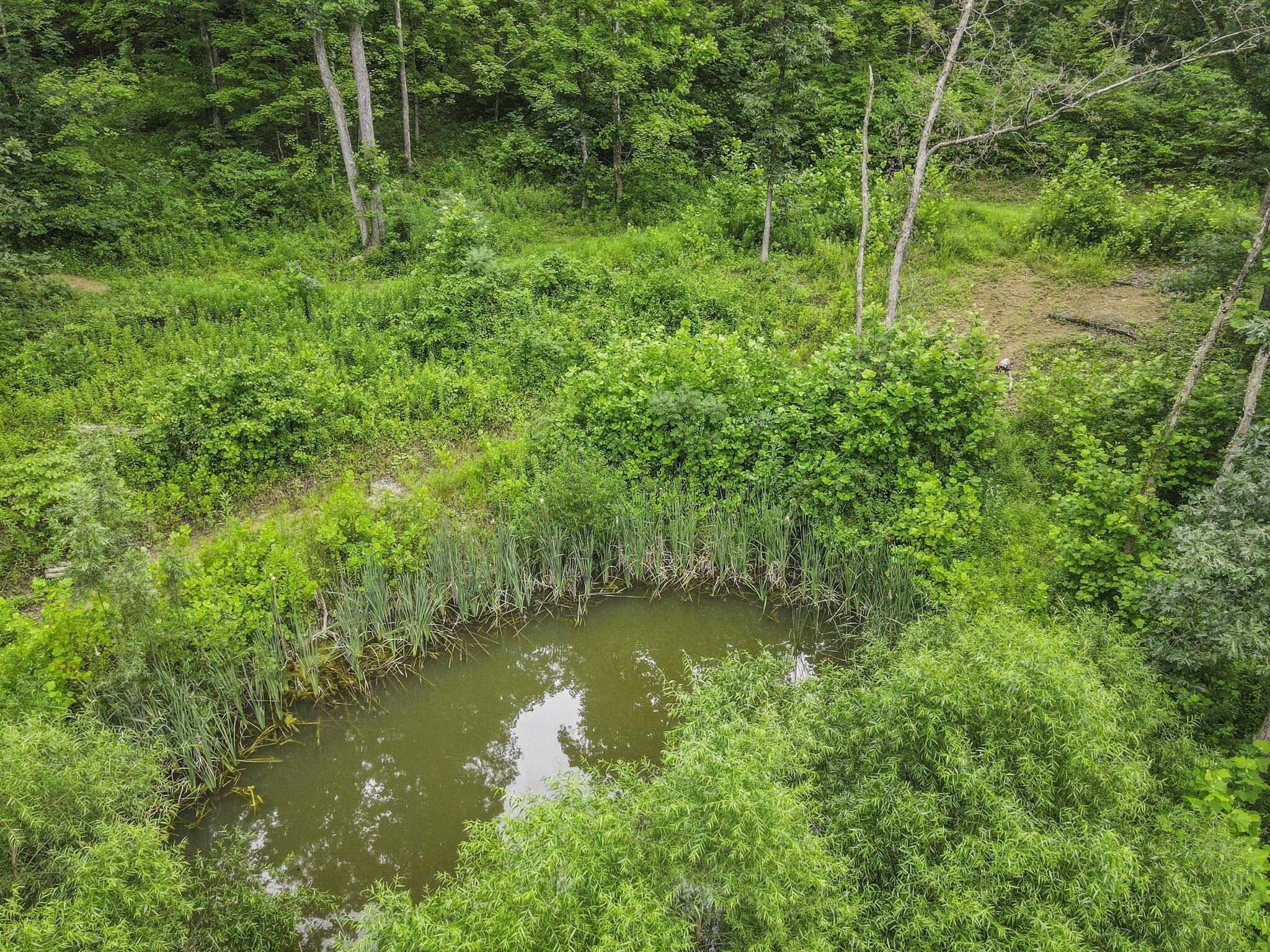 0 Greens Run Road Glouster, OH 45732 - Photo 98 of 121 98-web-or-mls-DJI_0393