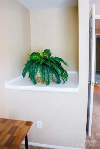 view of a potted plant in a pot