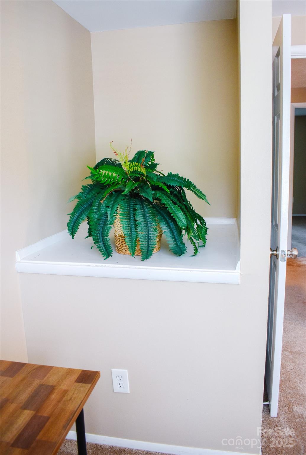 7526 Holly Grove Court Charlotte, NC 28227 - Photo 21 of 42 view of a potted plant in a pot