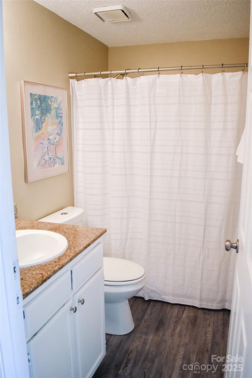 7526 Holly Grove Court Charlotte, NC 28227 - Photo 22 of 42 a bathroom with a granite countertop sink a toilet and a shower curtain