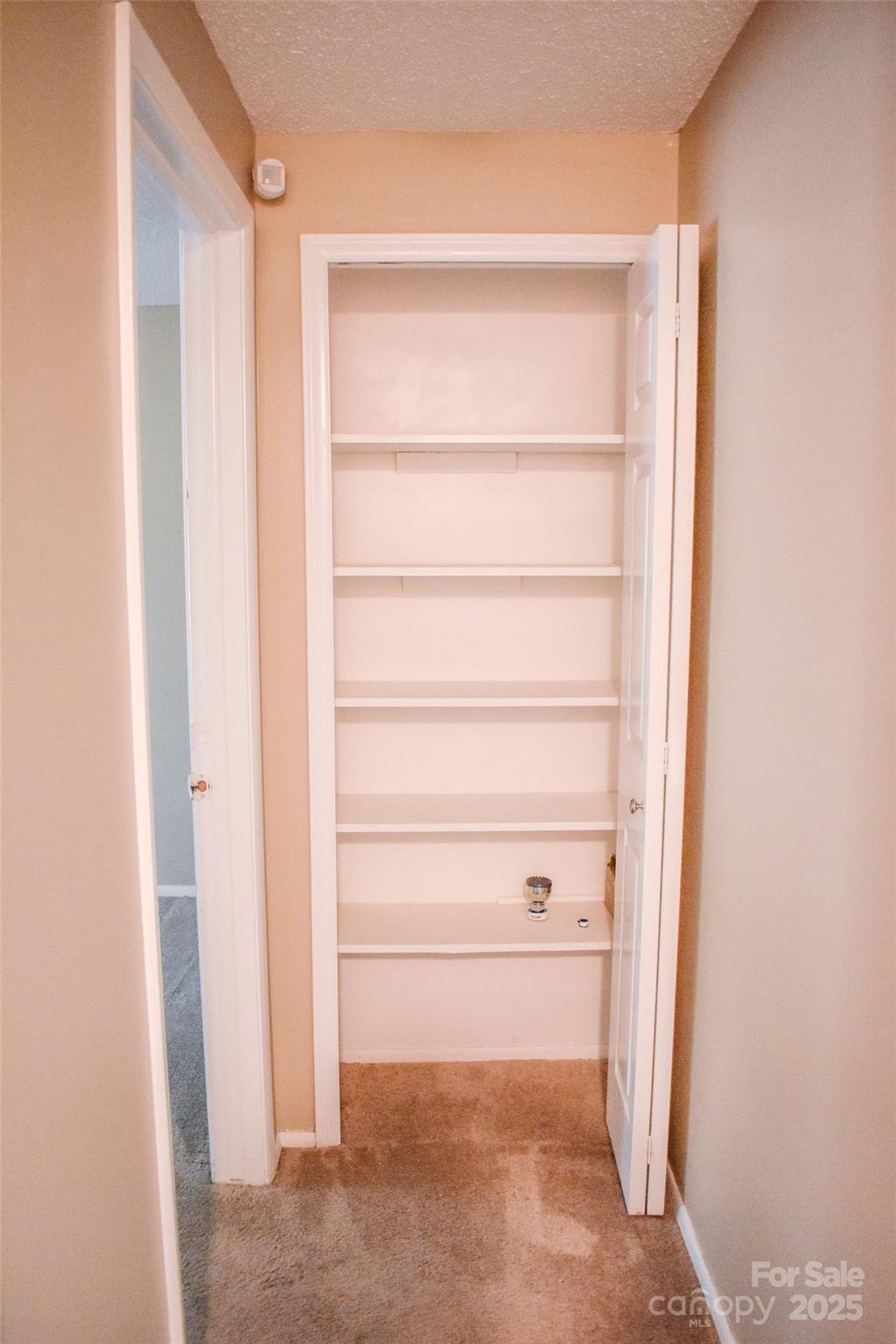 7526 Holly Grove Court Charlotte, NC 28227 - Photo 36 of 42 a view of an empty walk in closet