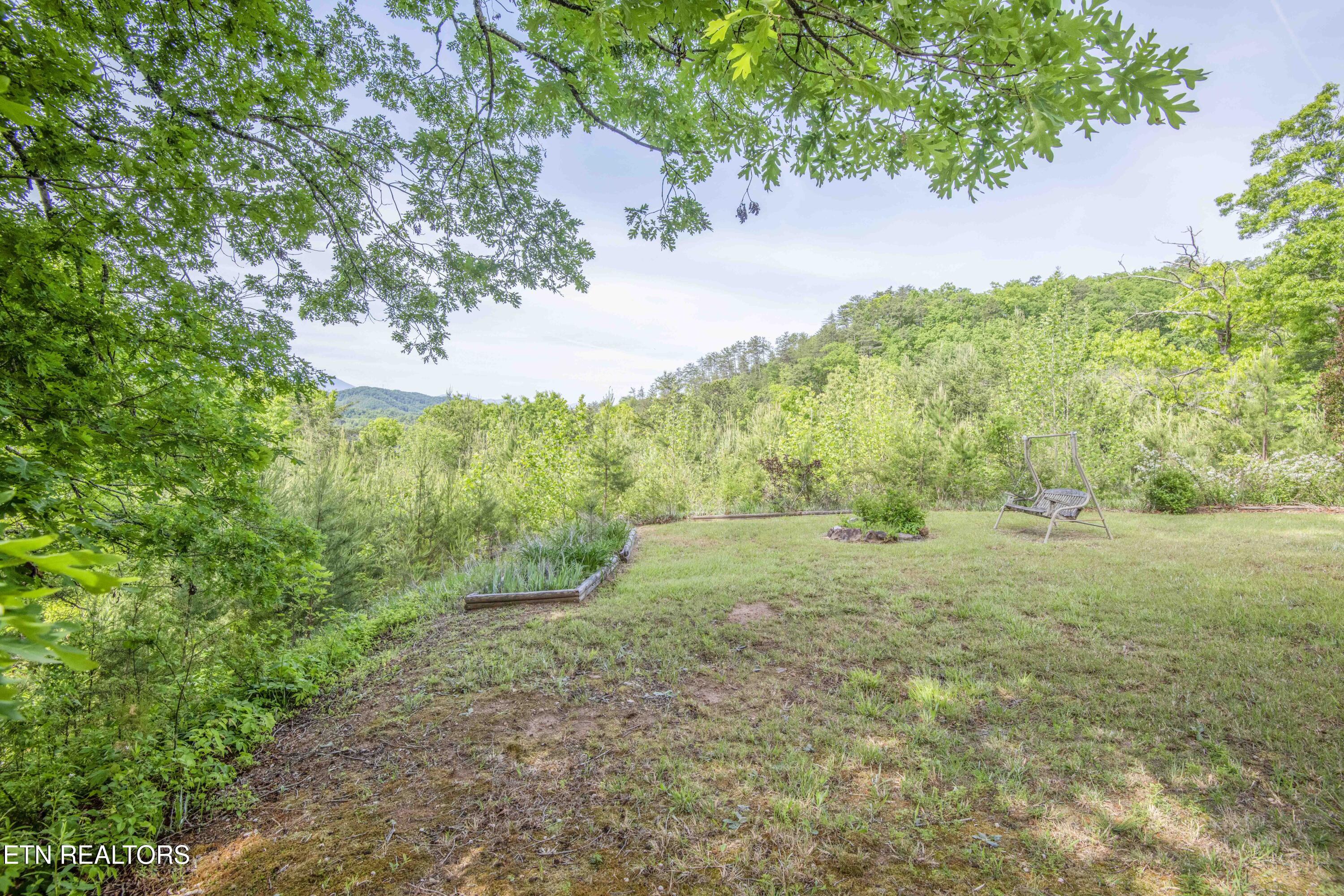 1033 Shell Mountain Road Sevierville, TN 37876 - Photo 59 of 60 yard 7_1