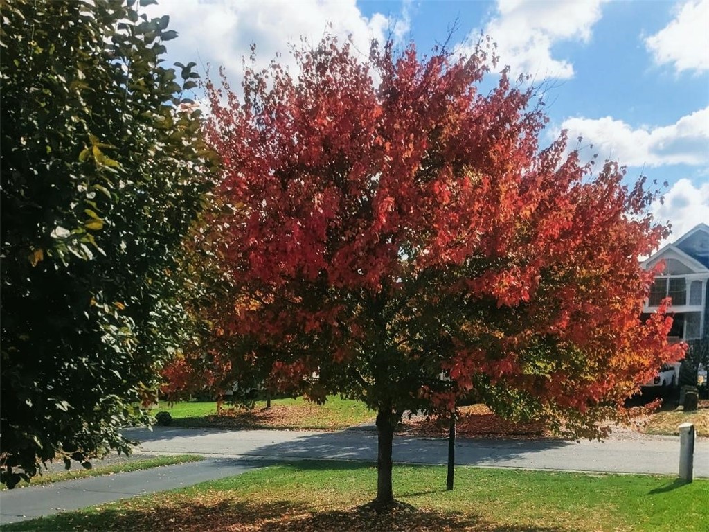 80 Genesee View Trail Chili, NY 14623 - Photo 18 of 21