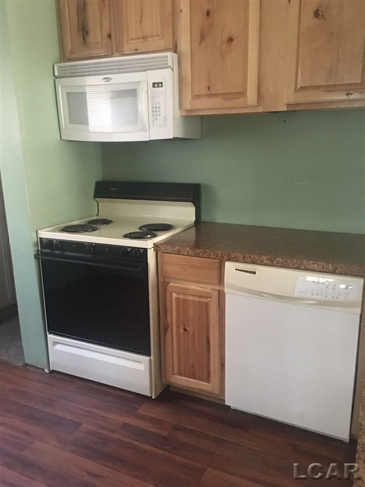 431 Spring Street Adrian, MI 49221 - Photo 4 of 22 31307954-3.JPG