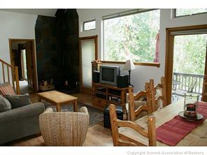 73 Mine Road Alma, CO 80420 - Photo 11 of 22 Gallery Image 11