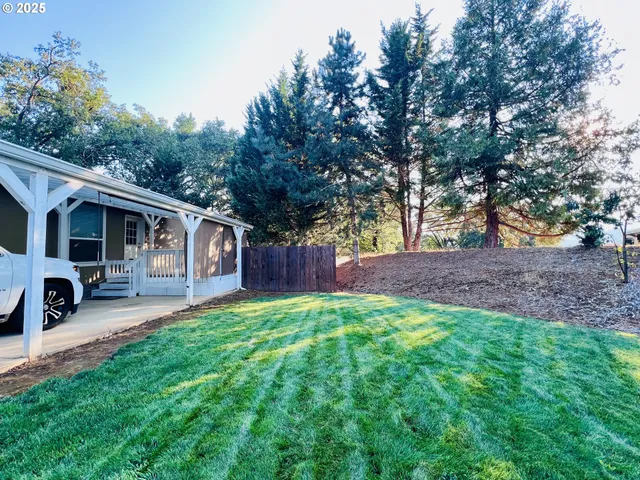 a view of backyard of the house