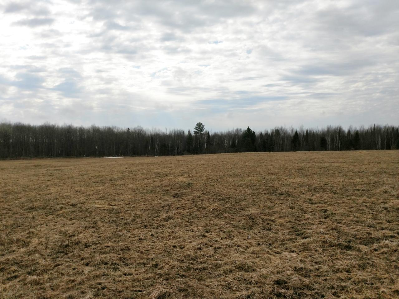 W3598 Nyberg-Hill Road Prentice, WI 54556 - Photo 23 of 24 Gallery Image 23