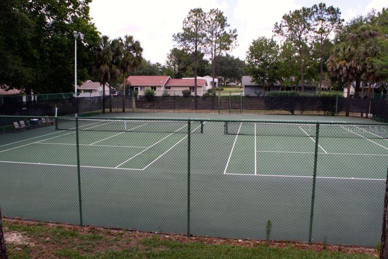10839 Southwest 87th Terrace Ocala, FL 34481 - Photo 60 of 70