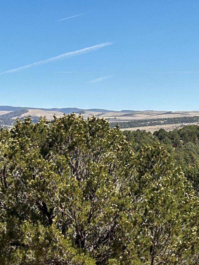 66 Hopi Road Westcliffe, CO 81252 - Photo 62 of 64 Gallery Image 62