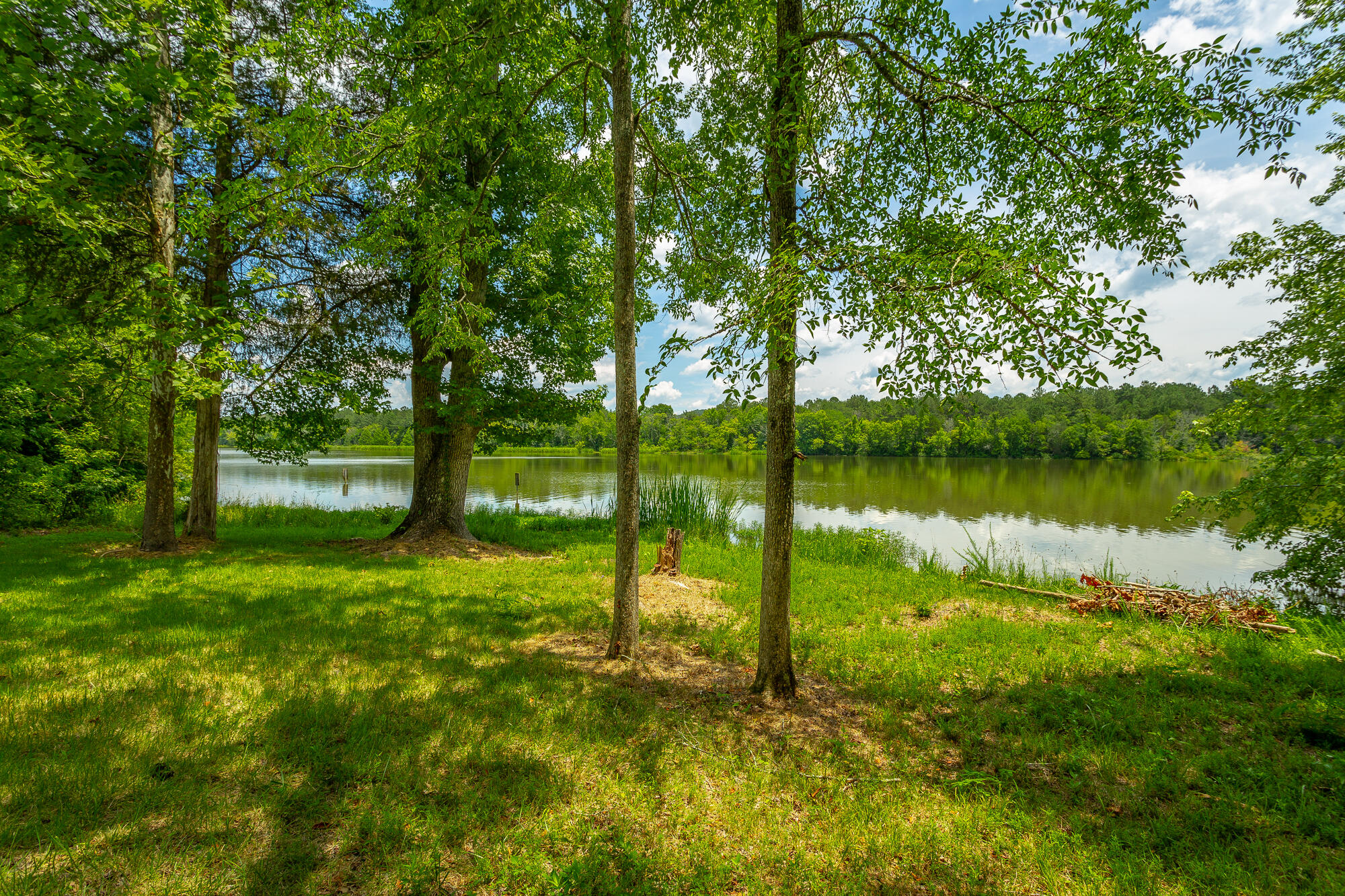 543 Randolph Lane Decatur, TN 37322 - Photo 25 of 37 Gorgeous level WATER LOT