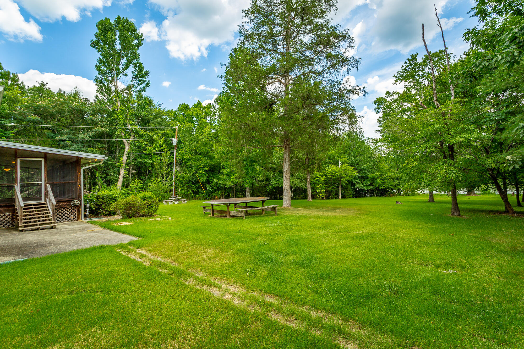 543 Randolph Lane Decatur, TN 37322 - Photo 28 of 37 Back Yard