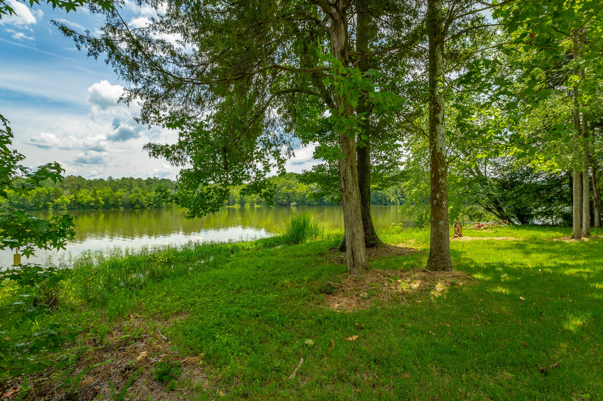 543 Randolph Lane Decatur, TN 37322 - Photo 37 of 37 Beautiful waterfront LOT