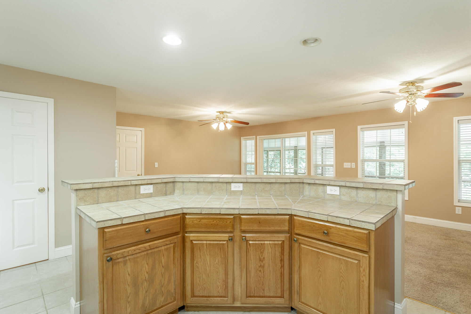 543 Randolph Lane Decatur, TN 37322 - Photo 8 of 37 Huge Island