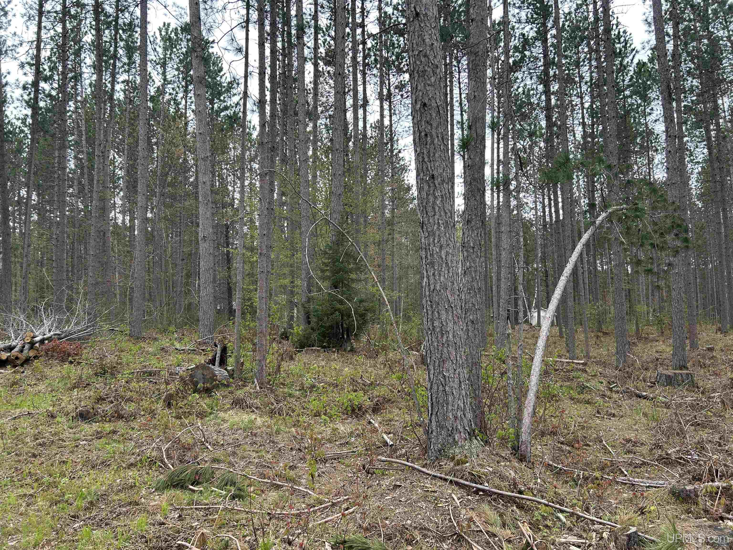 Tbd Parcel 3 Paint River Road Crystal Falls, MI 49920 - Photo 4 of 9