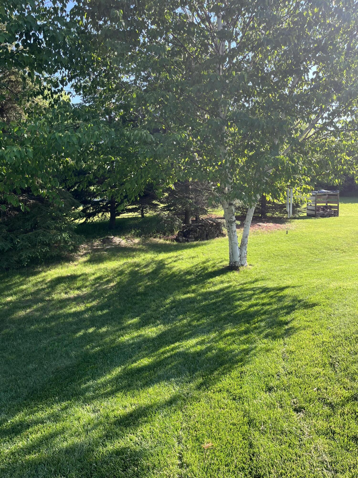 11105 Meadow Ridge Road Whitelaw, WI 54247 - Photo 100 of 126 Backyard View 3