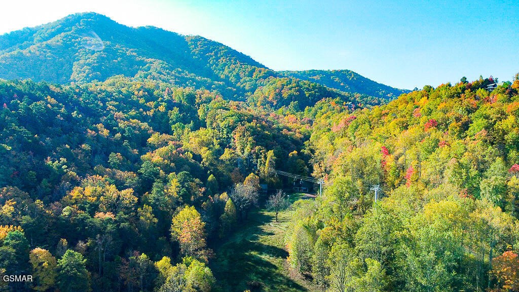 8 Thomas Headrick Road Sevierville, TN 37862 - Photo 27 of 27