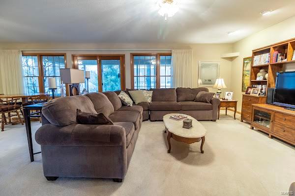 9 Ramsgate Collinsville, IL 62234 - Photo 2 of 14