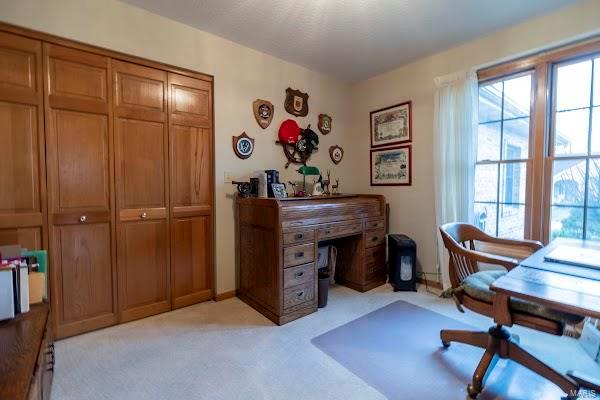 9 Ramsgate Collinsville, IL 62234 - Photo 3 of 14