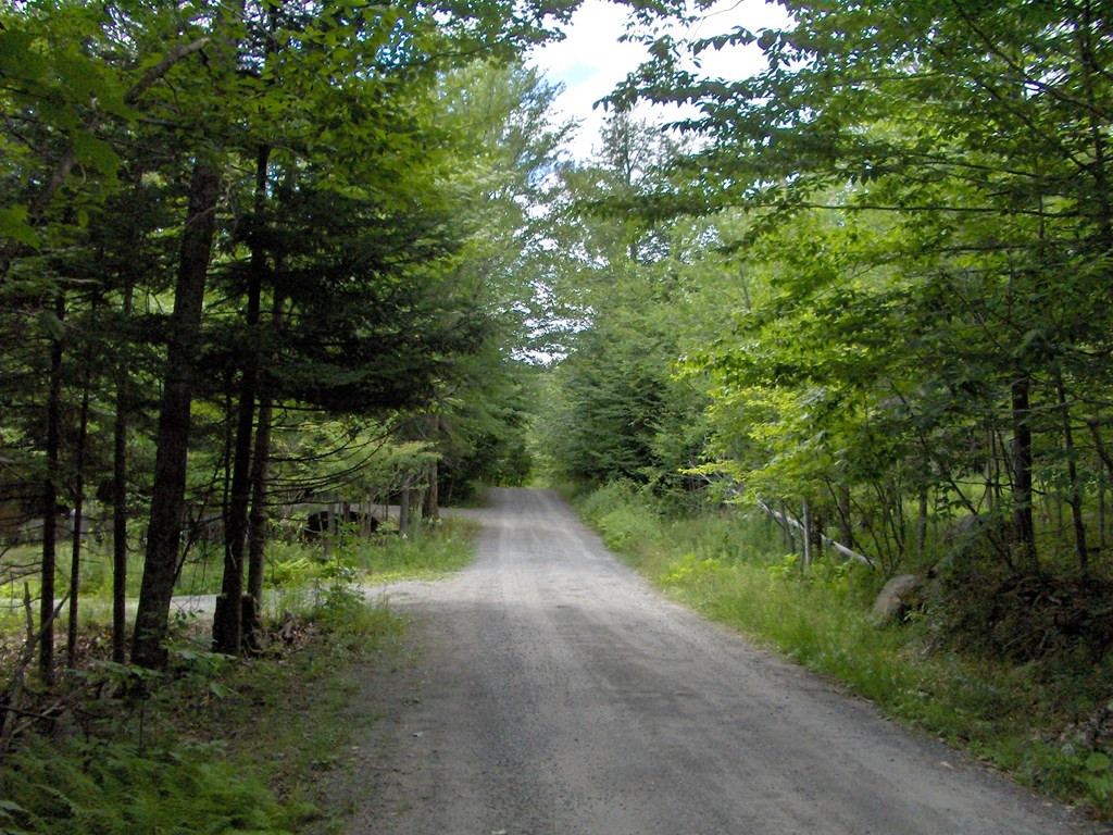 29 Clear Pond Road Long Lake, NY 12847 - Photo 3 of 9 Gallery Image 3