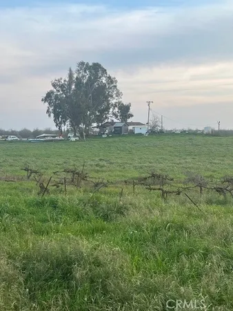 a view of a field with an ocean