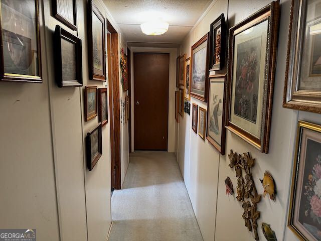 480 Jackson Road Wrightsville, GA 31096 - Photo 14 of 23