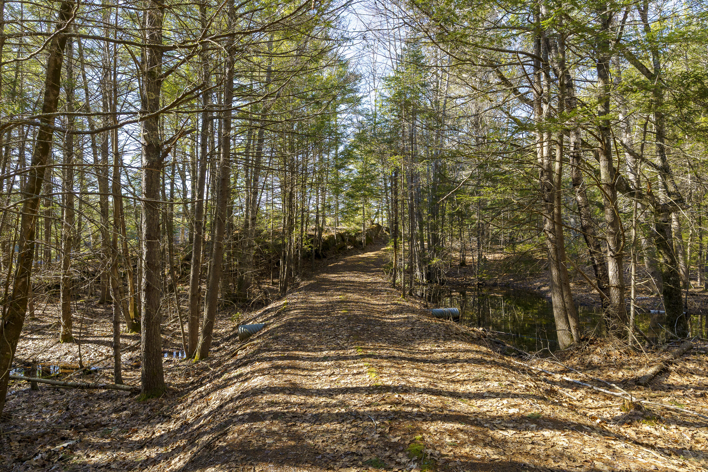 1357 Main Road Westport Island, ME 04578 - Photo 7 of 38