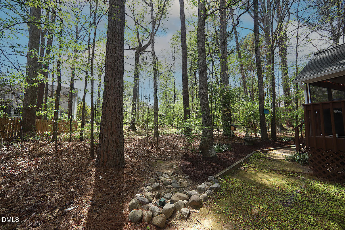112 Spring Lake Court Durham, NC 27713 - Photo 35 of 38 Back Yard