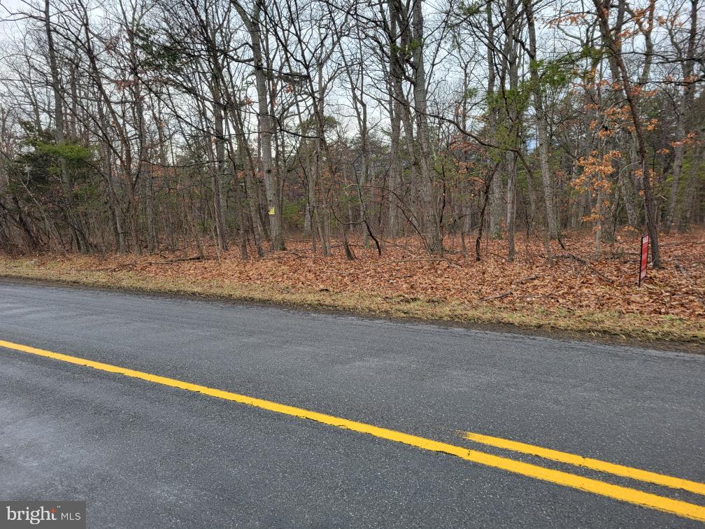 Lot 1 North Timber Ridge Road Cross Junction, VA 22625 - Photo 8 of 10 Gallery Image 8