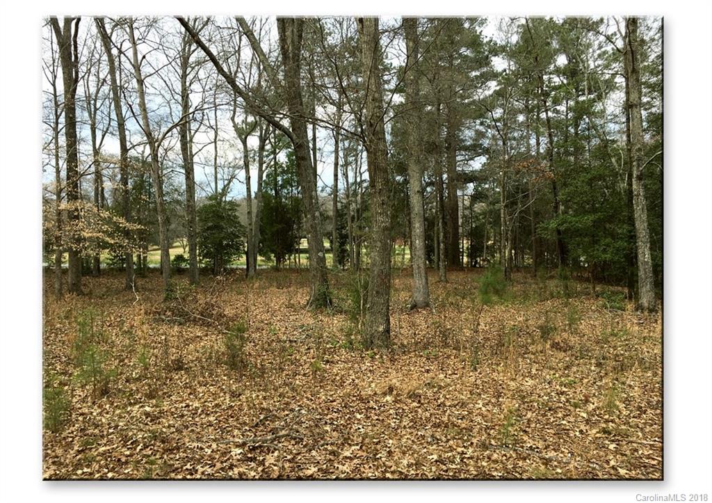 a view of outdoor space with lots of trees